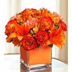 Designer Flowers & Bouquet Delivery Online